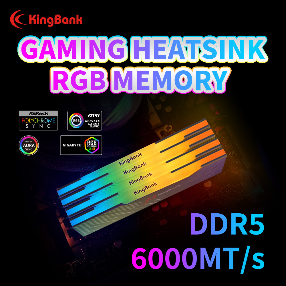KingBank KRRB DDR5 RGB Série S - Ddr5 Kit avis et prix